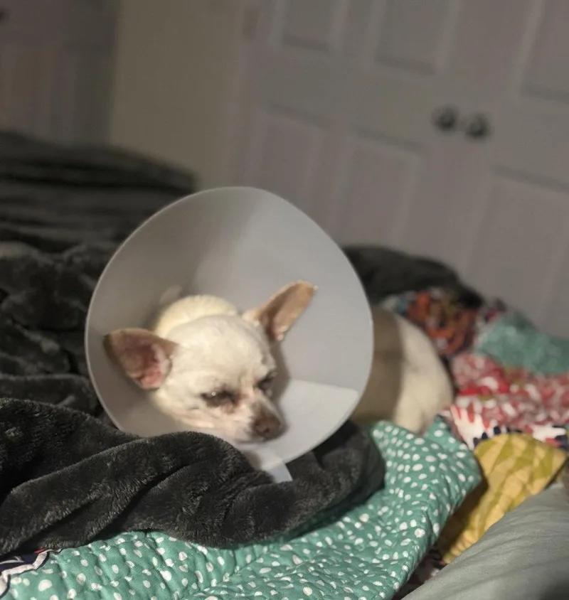 Bubbles ~ thumbnail 2