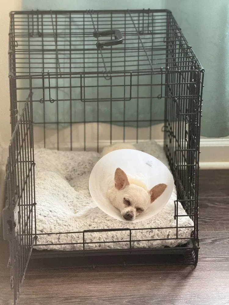 Bubbles ~ thumbnail 3