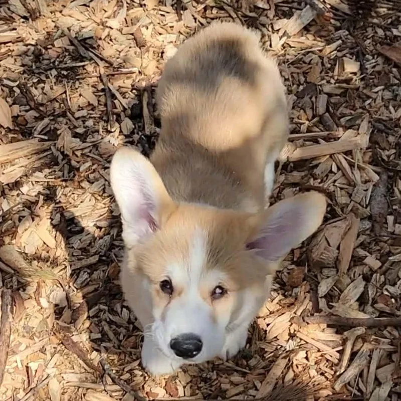 Stevie Wonder thumbnail 2