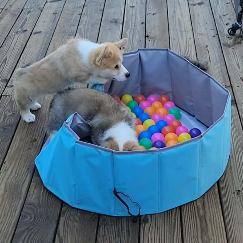 Stevie Wonder thumbnail 4