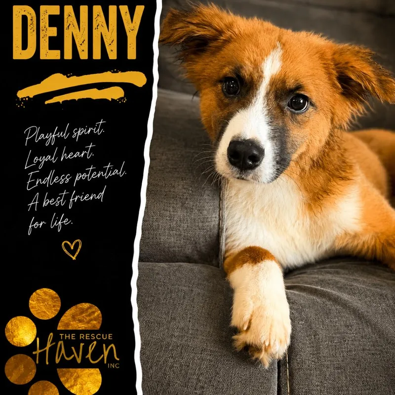 Dennys