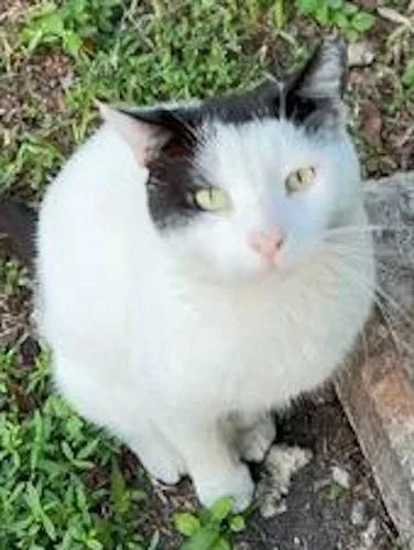 Caleb  Courtesy Listing thumbnail 2