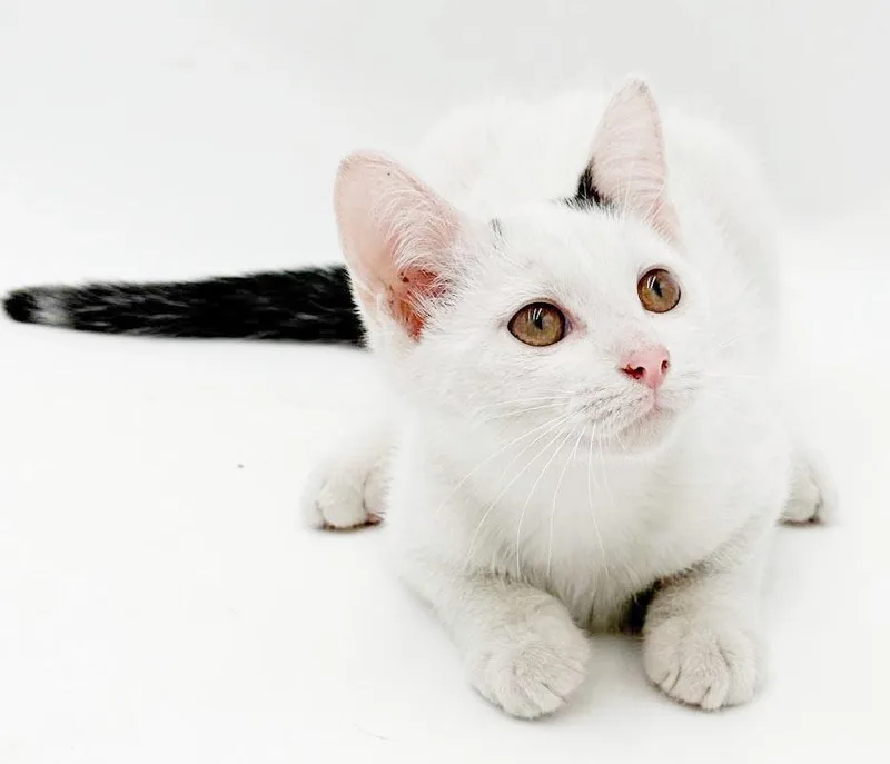 Larkin is a baby thumbnail 2