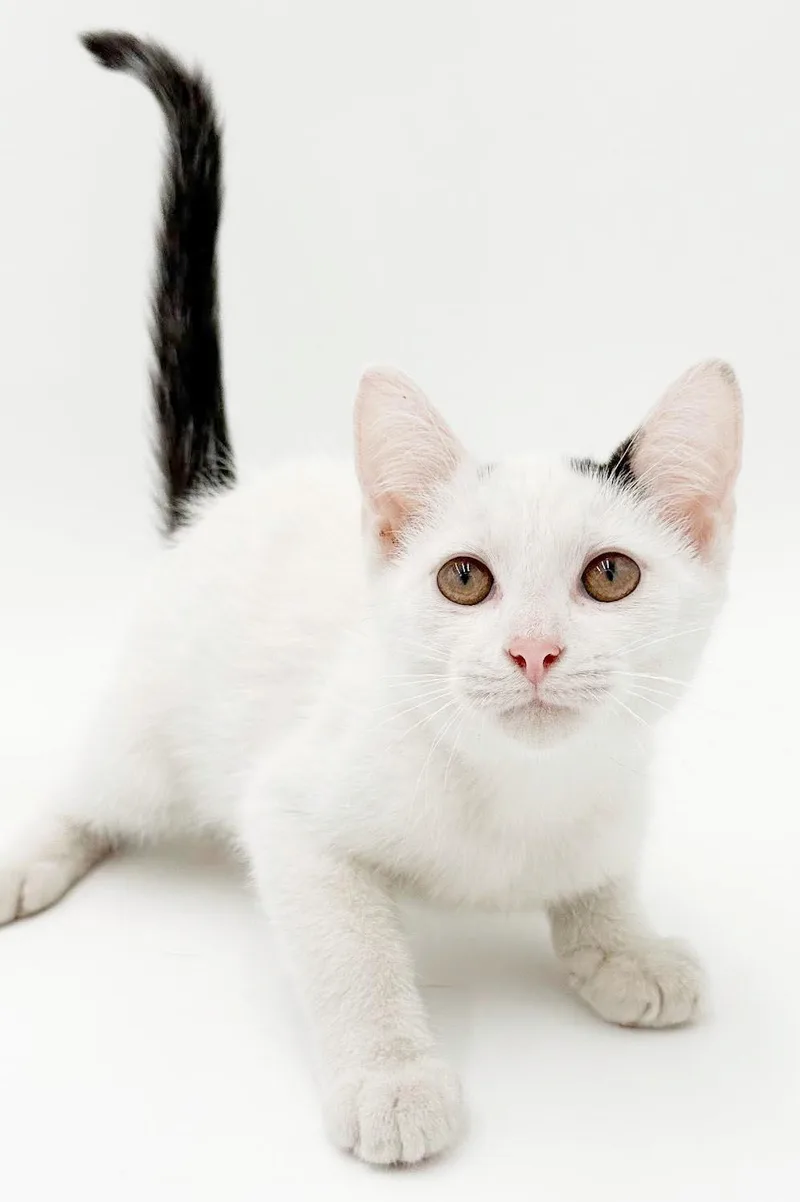 Larkin is a baby thumbnail 6