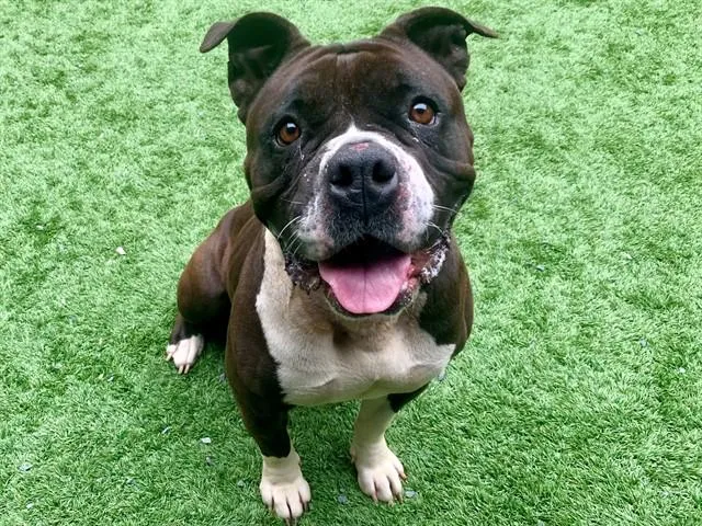 Urgent! Save Me Please!