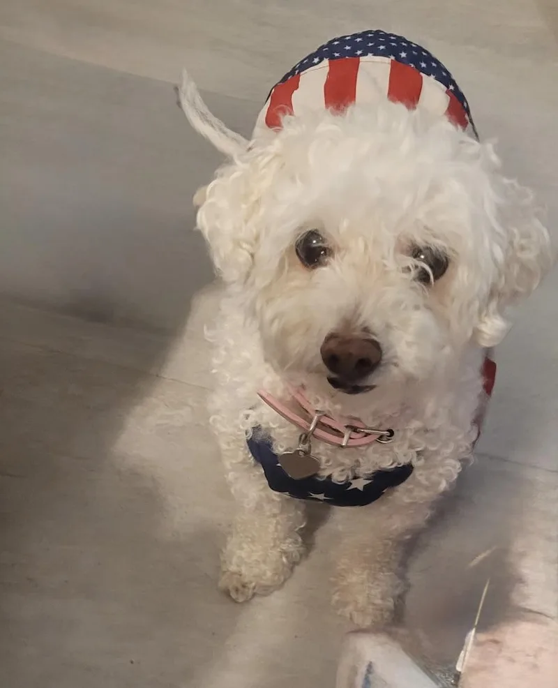 Josie thumbnail 3
