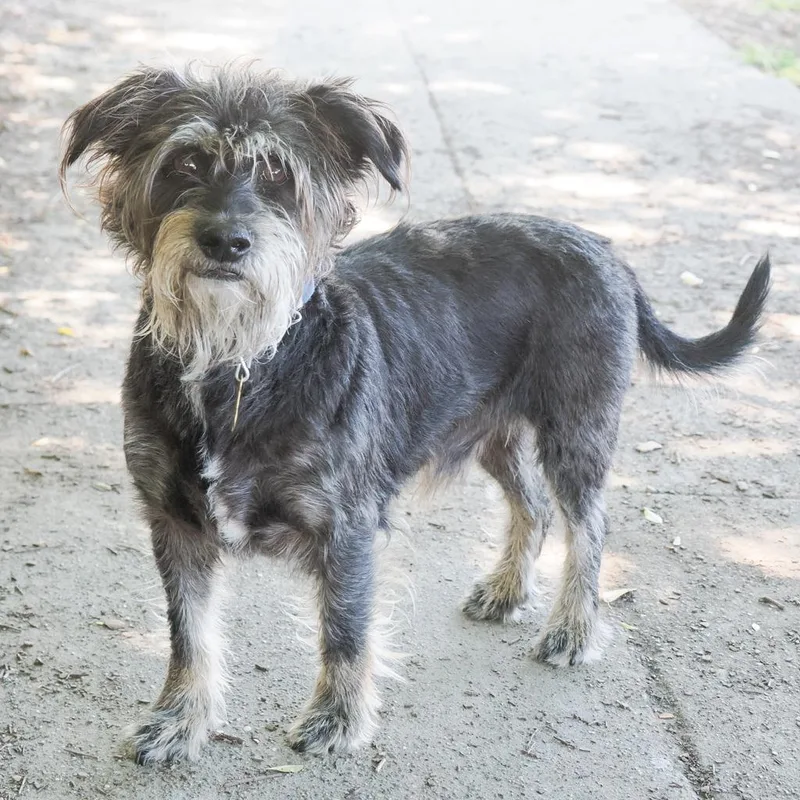Leroy Brown Bonded To