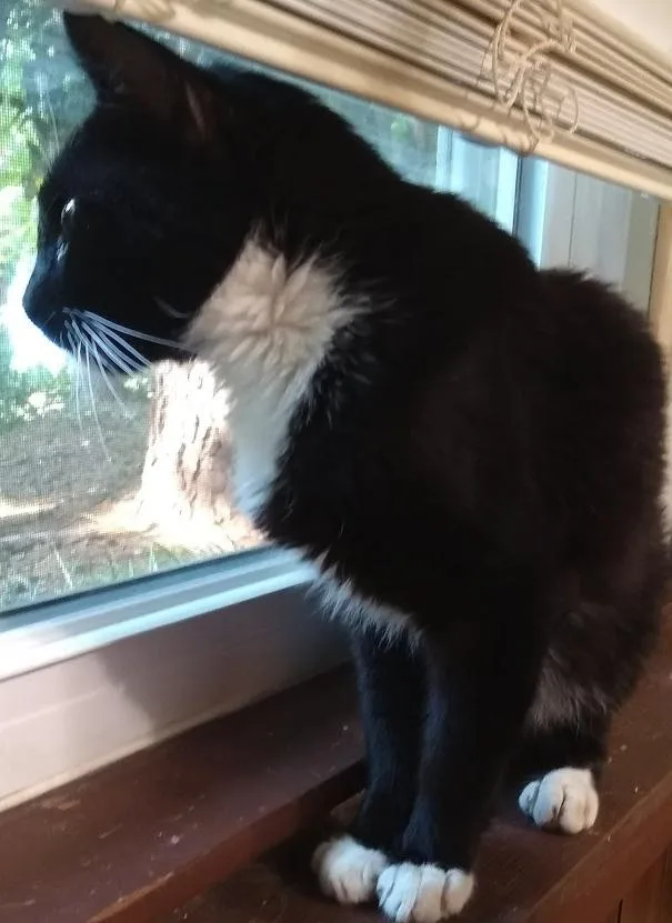 Nicky  Putting On thumbnail 2