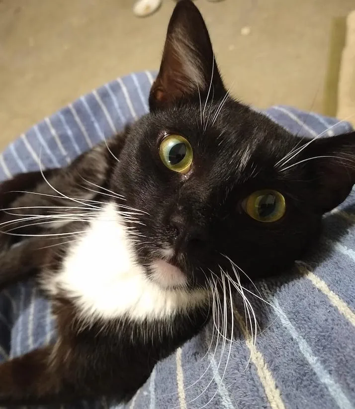 Nicky  Putting On thumbnail 3