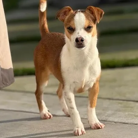 Mr. Handsome Dj thumbnail 2