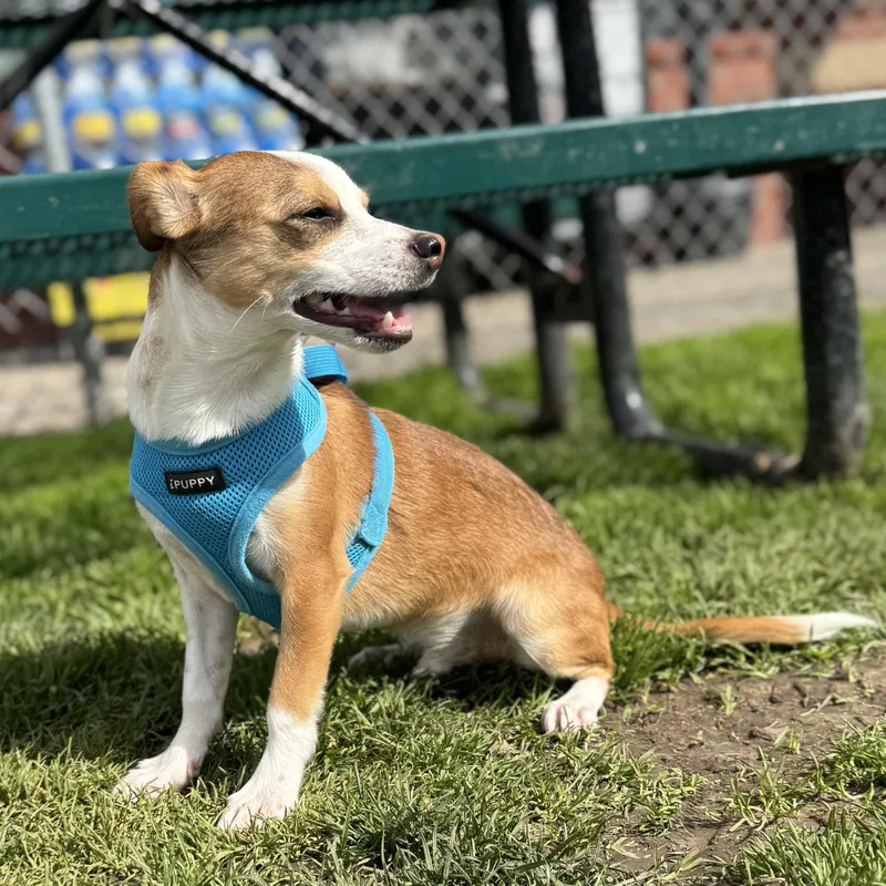 Mr. Handsome Dj thumbnail 3