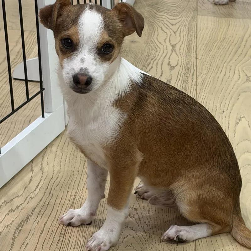 Mr. Handsome Dj thumbnail 4