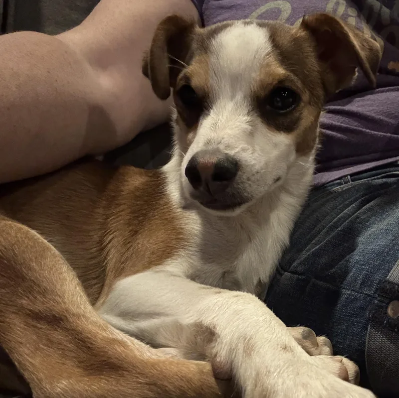 Mr. Handsome Dj thumbnail 5