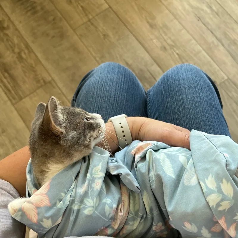 Brooklyn thumbnail 2