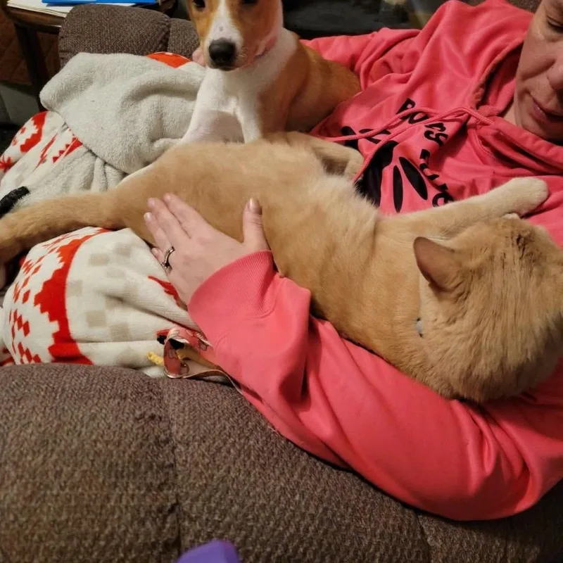 Freckles thumbnail 2