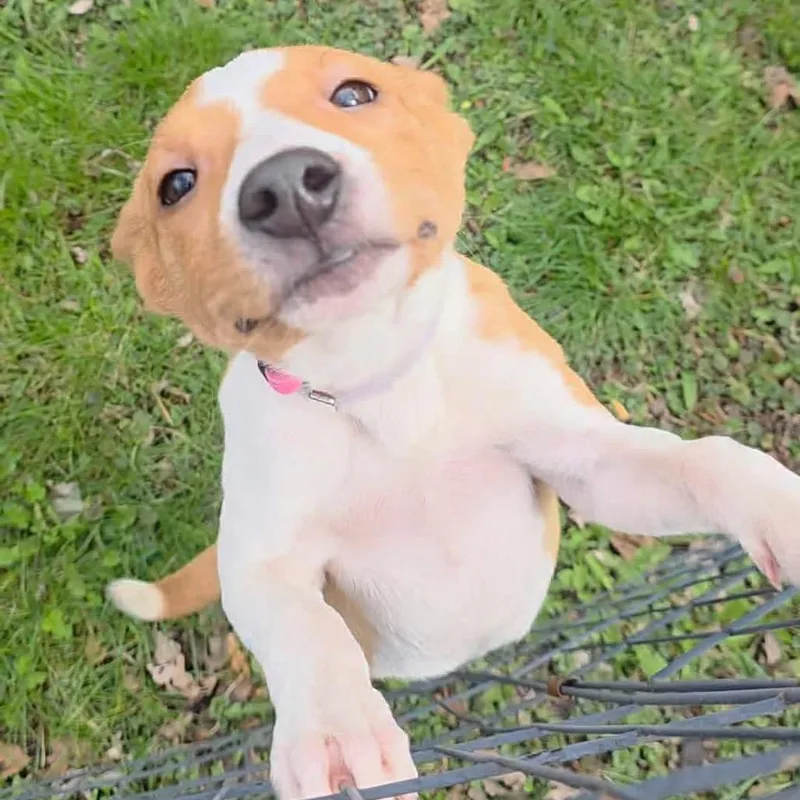 Freckles thumbnail 3