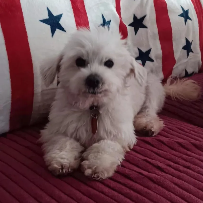 Coco Kathy thumbnail 2
