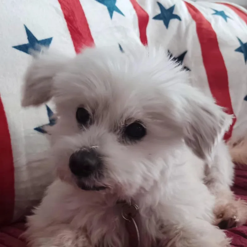 Coco Kathy thumbnail 3