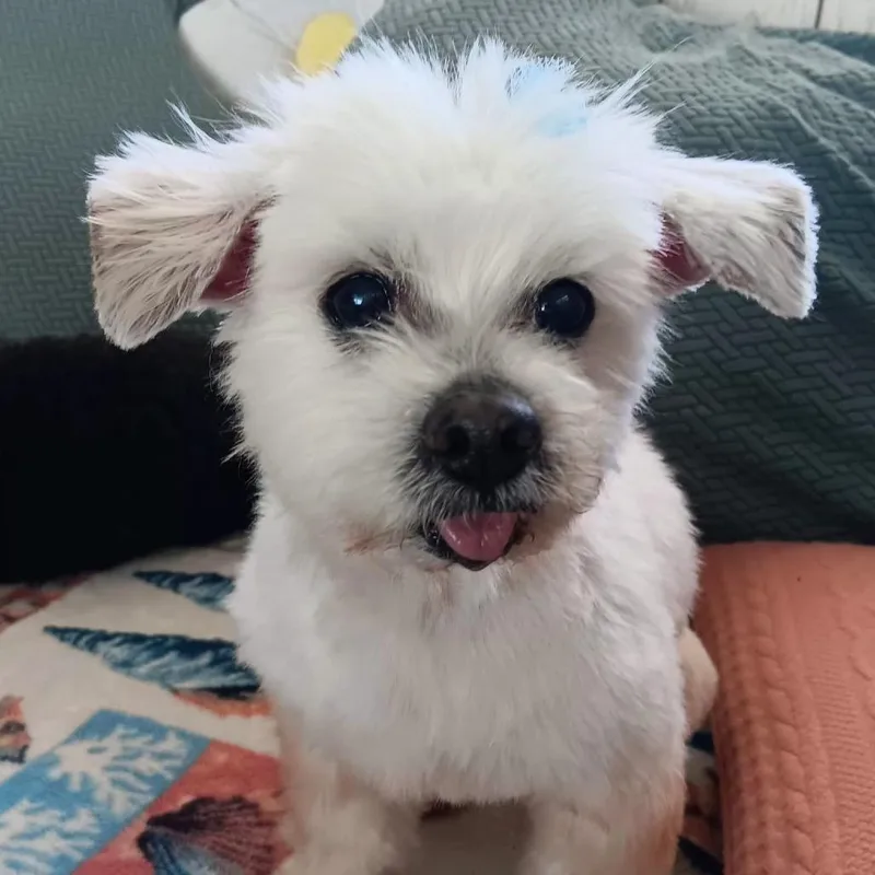 Coco Kathy thumbnail 4