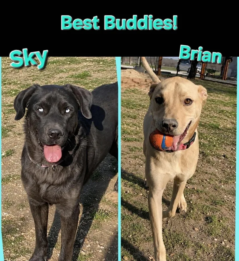 Sky and Brian