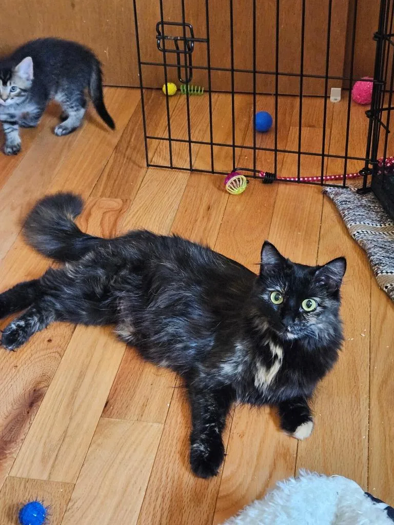 Luna