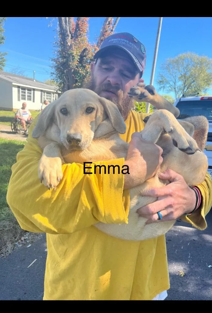 Emma thumbnail 5