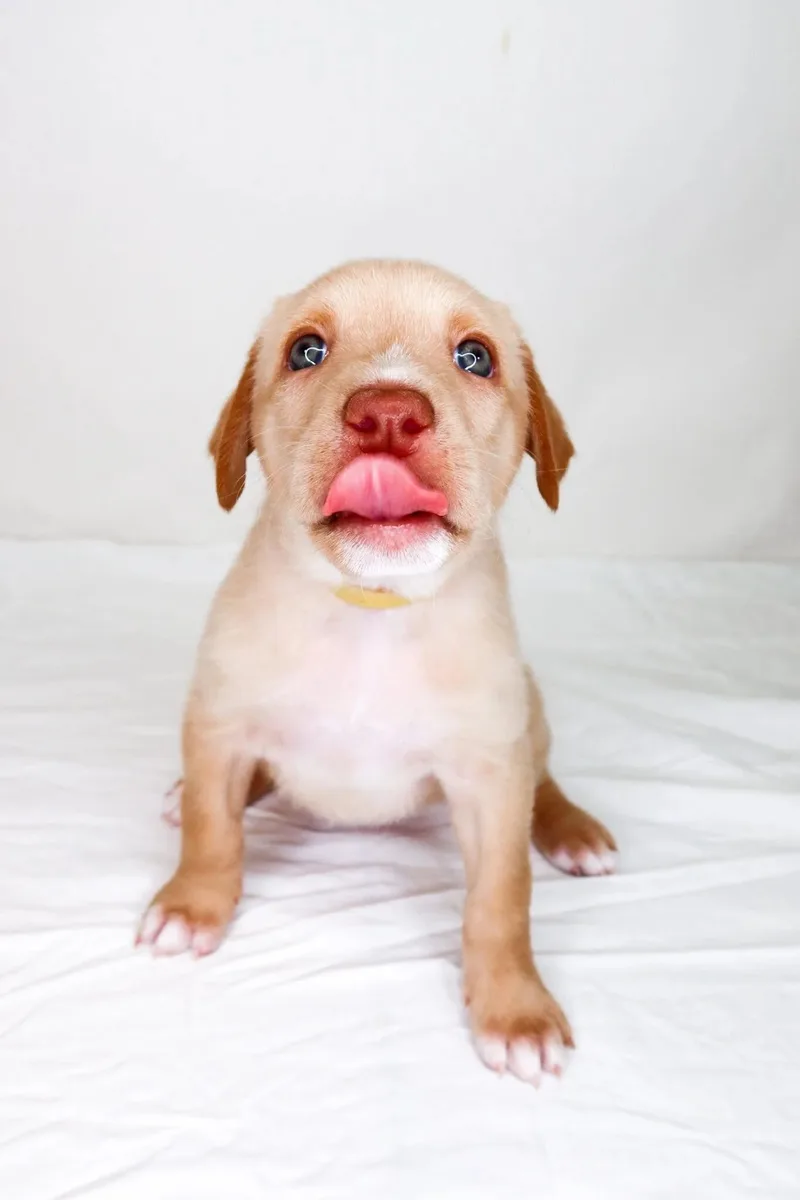 Belinda thumbnail 2