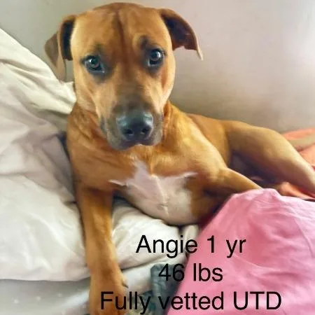 Angie