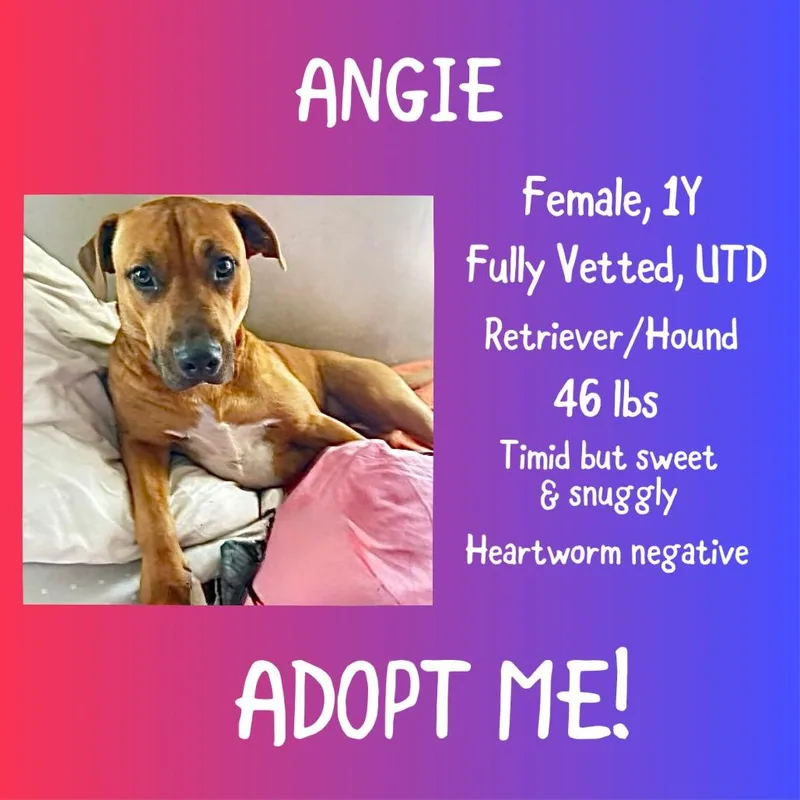 Angie thumbnail 3