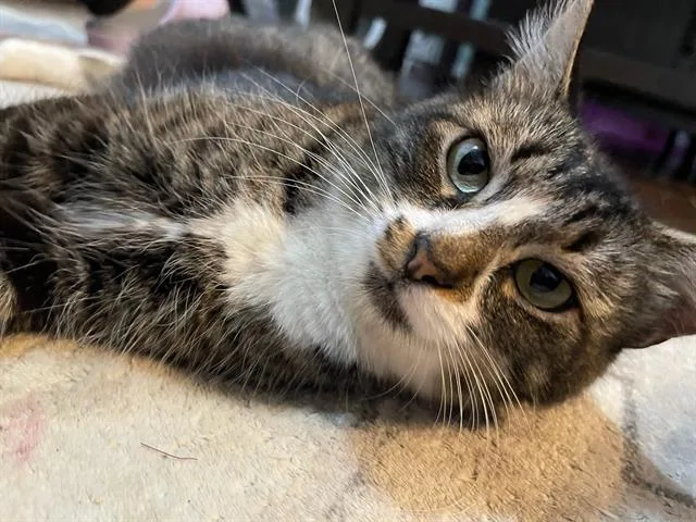 Chloe