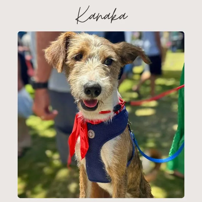 Kanaka