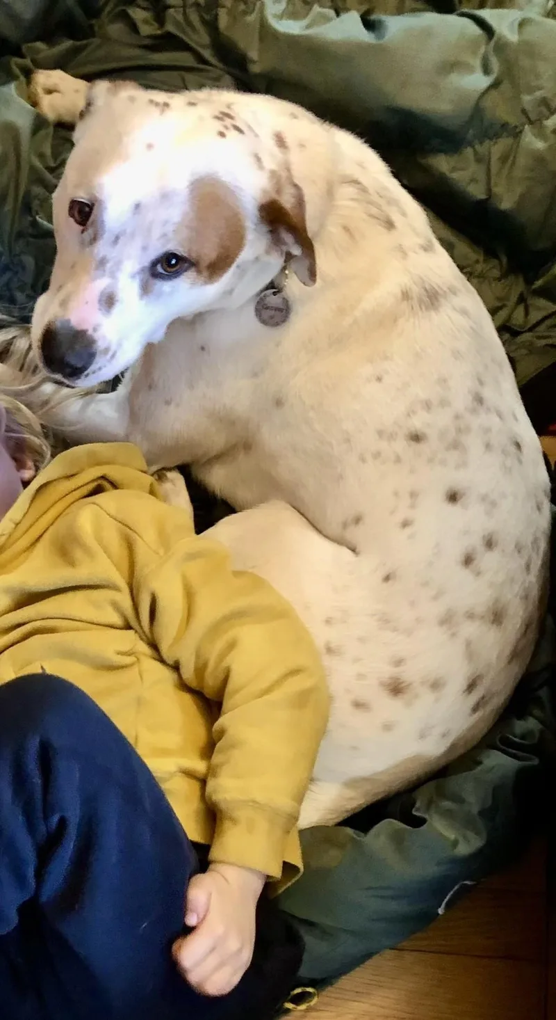 Grover Courtesy Cupid thumbnail 5