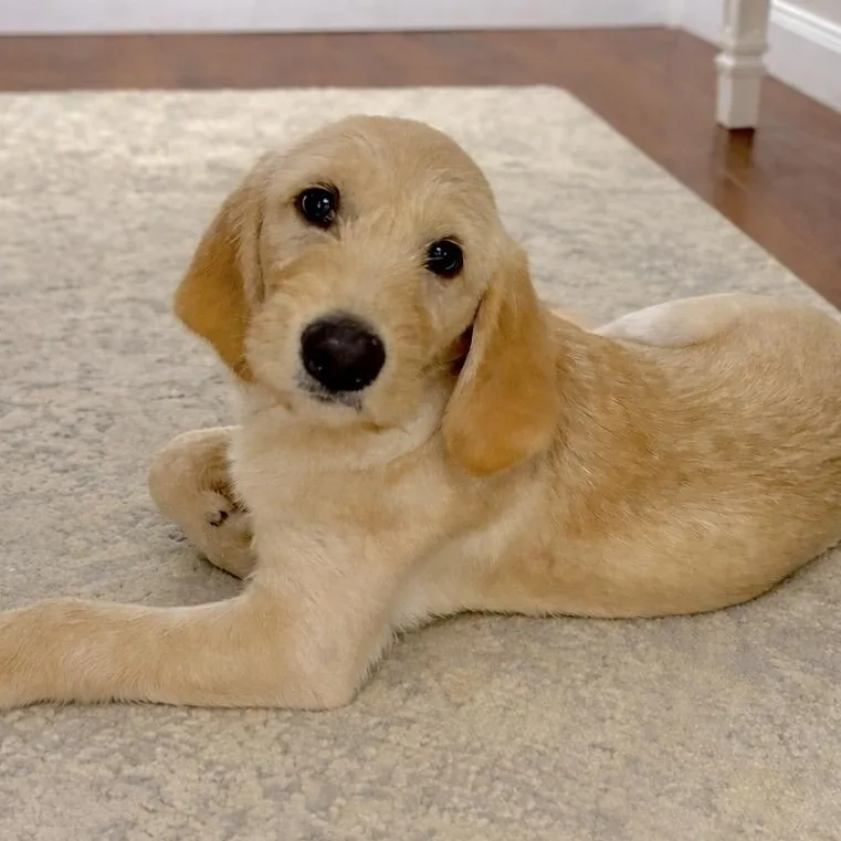 Daisy Mae thumbnail 5