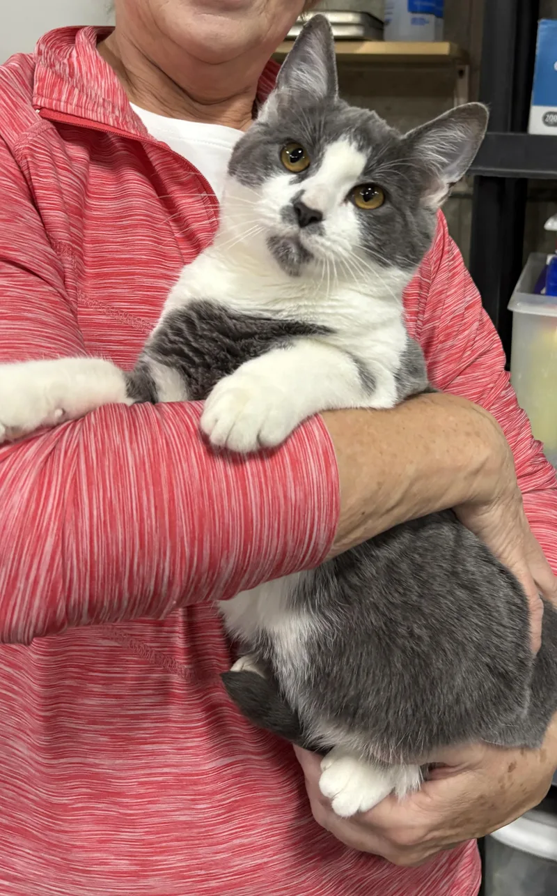 Jacob Elordi thumbnail 5