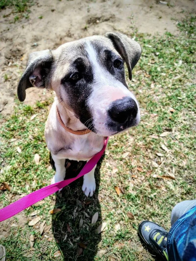 Mari  Cs thumbnail 3