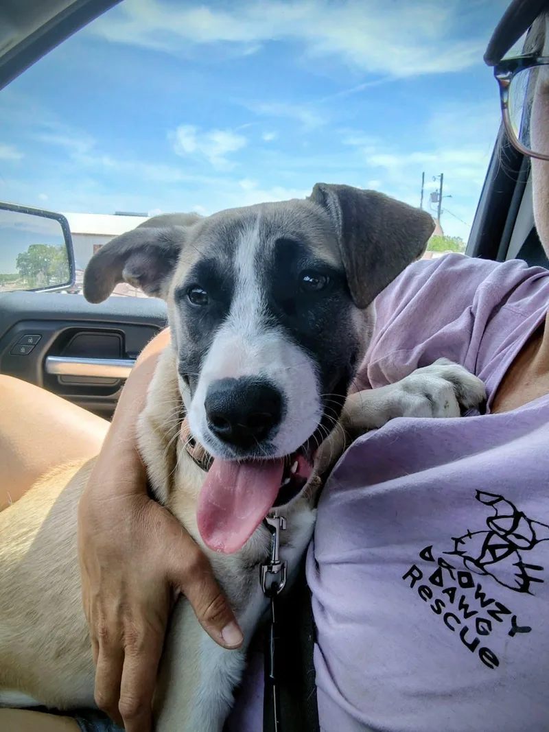 Mari  Cs thumbnail 4