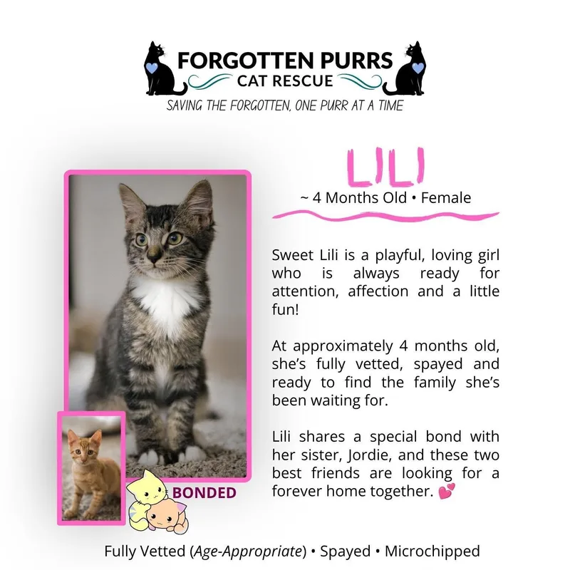 Lili