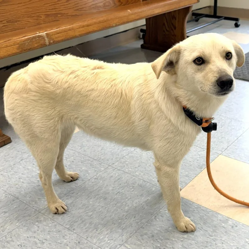 Judge Judy thumbnail 2