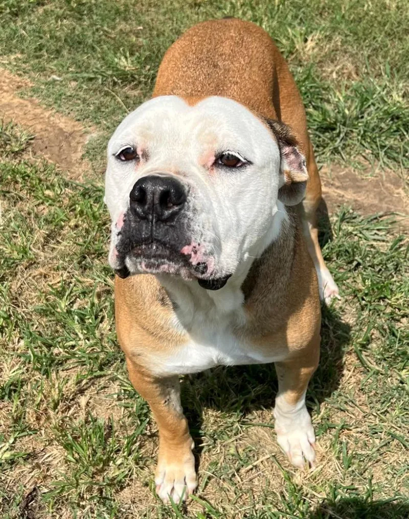 Ruby Monday thumbnail 2