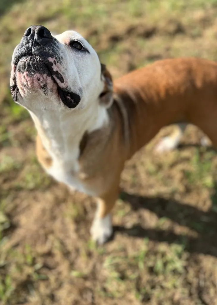 Ruby Monday thumbnail 3