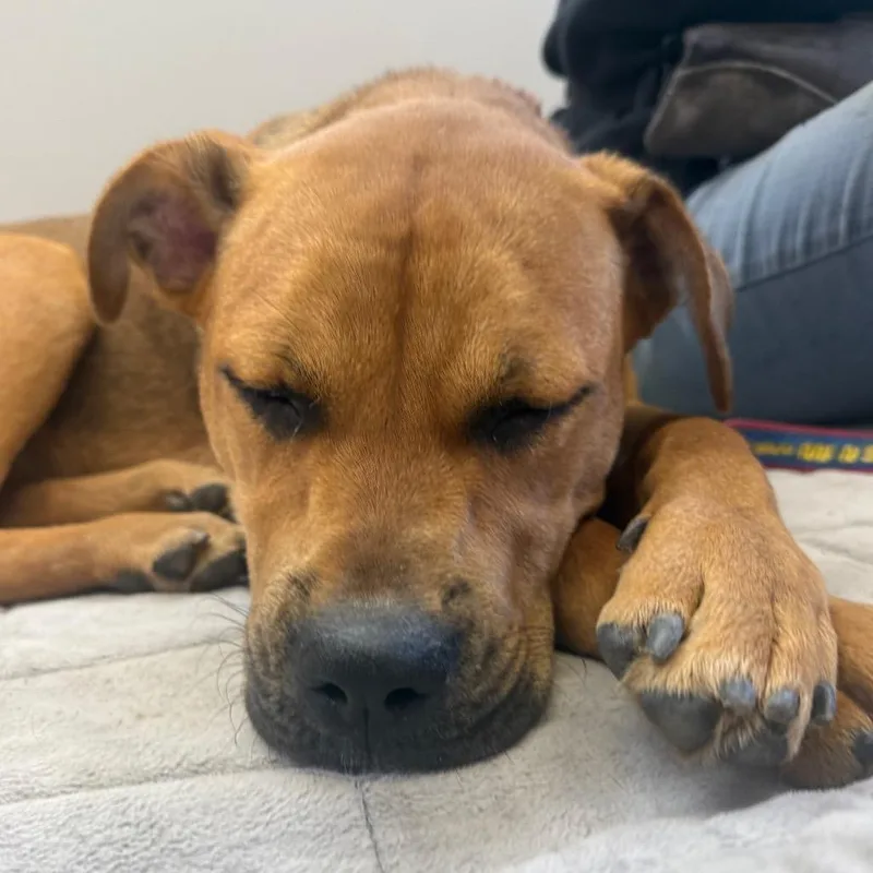 Kali Letty thumbnail 2