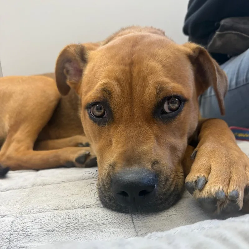 Kali Letty thumbnail 3