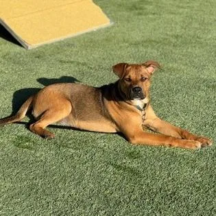 Kali Letty thumbnail 4