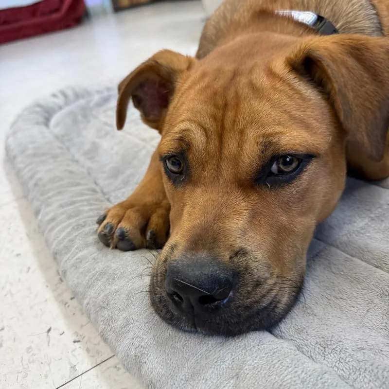 Kali Letty thumbnail 5