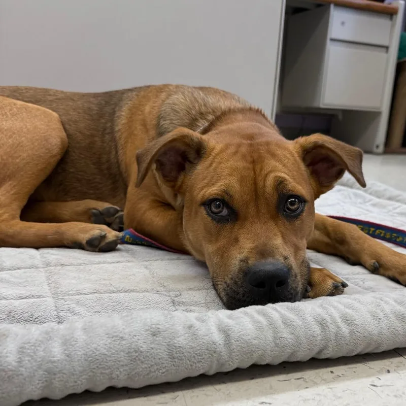 Kali Letty thumbnail 6