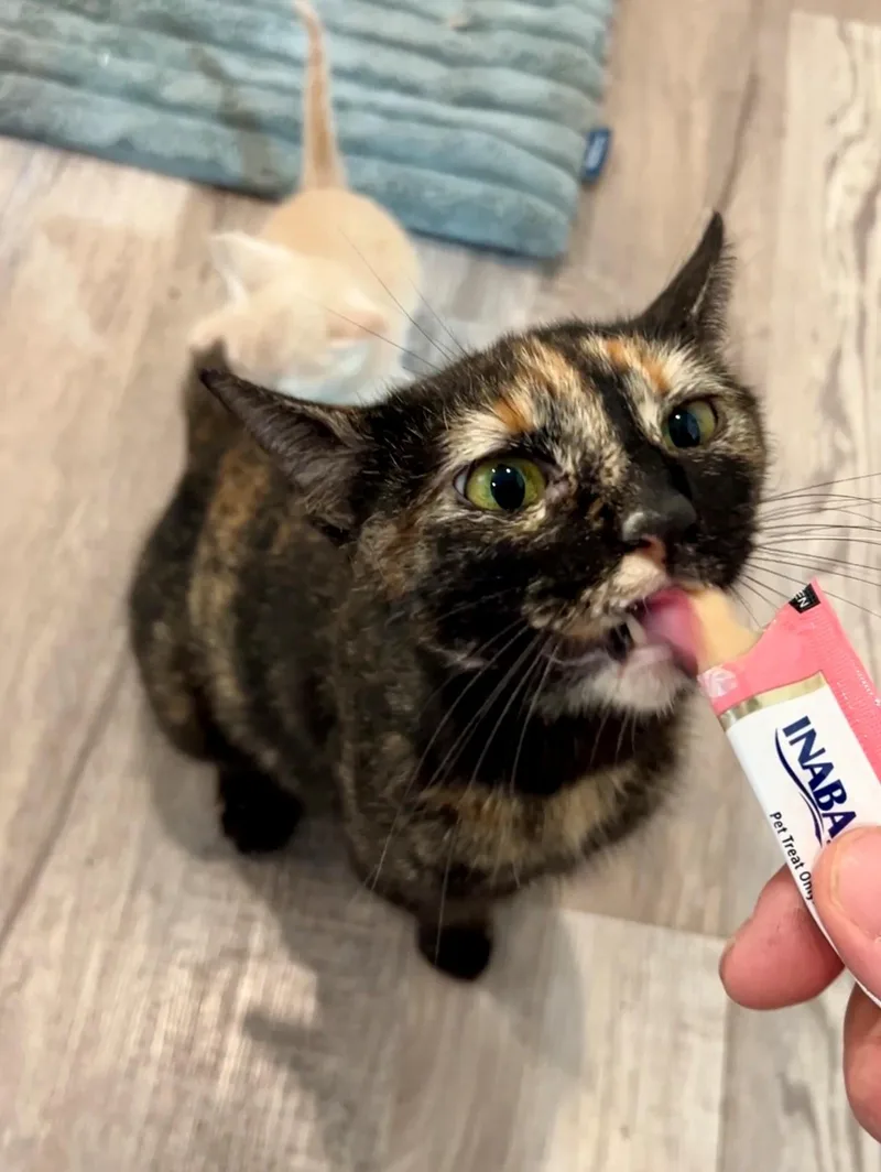 Emily thumbnail 5