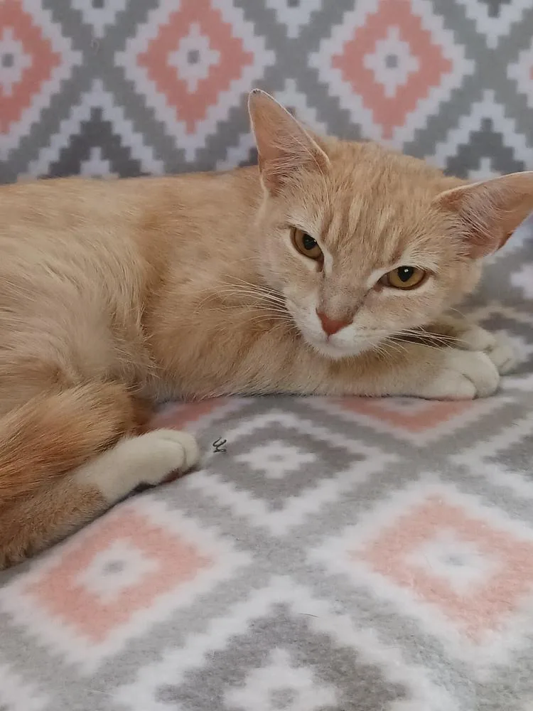 Sunshine thumbnail 2