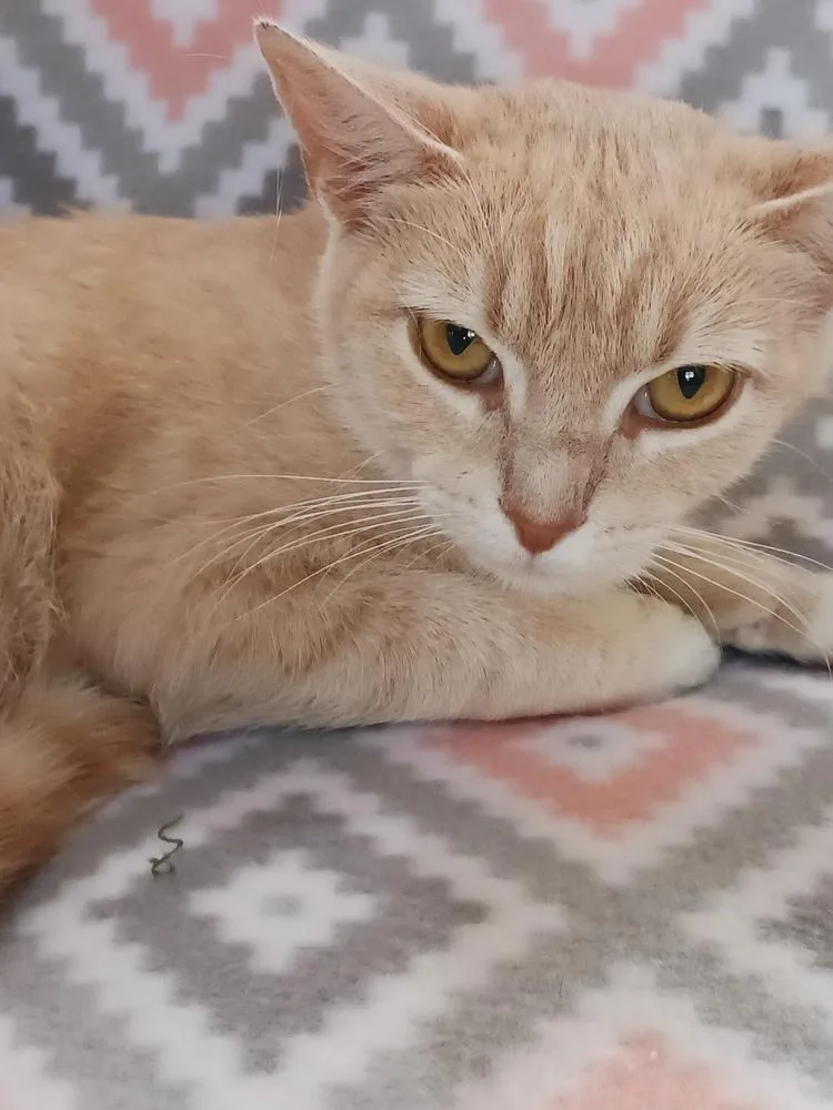 Sunshine thumbnail 3