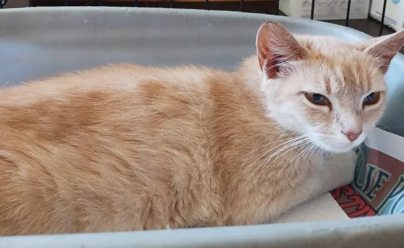 Sunshine thumbnail 5