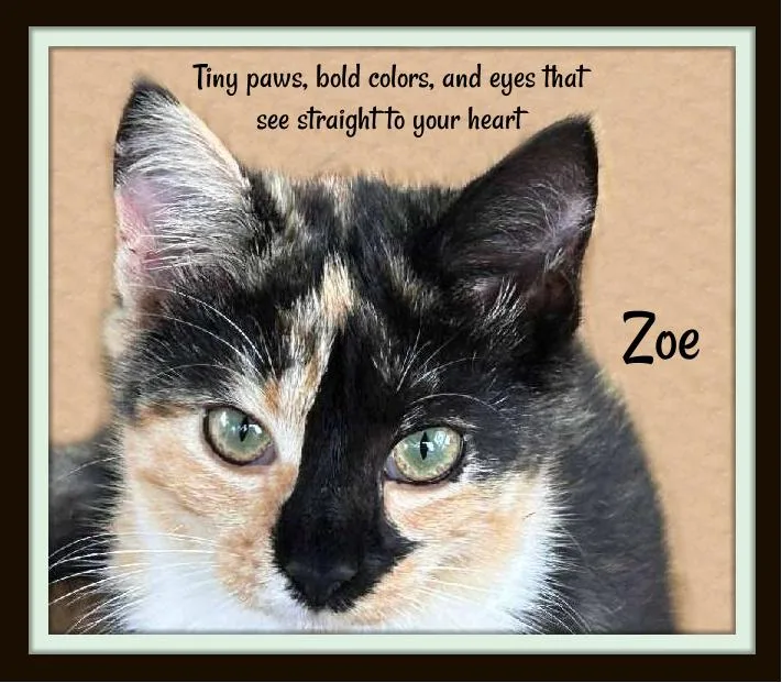 Zoe & Lulu: Sisters thumbnail 2